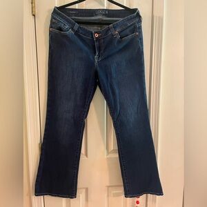Lucky Brand 🍀 Like New- Ginger Boot dark wash jeans- 14WP petite